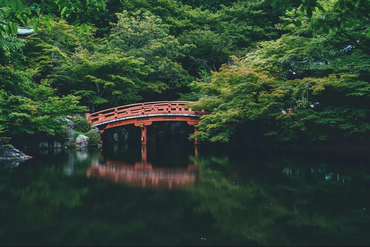 Japanese garden with red bridge