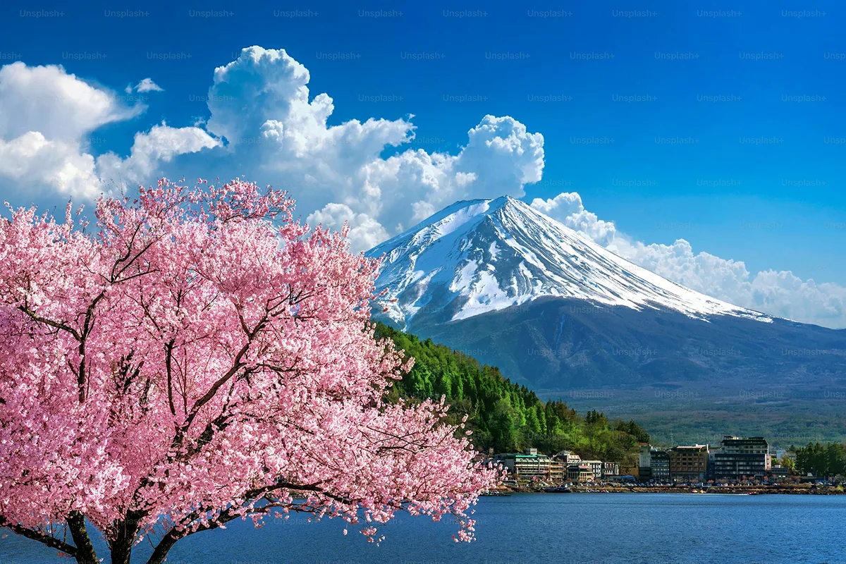 10 Grammar Mistakes Every Japanese Beginner Makes (And How to Fix Them)